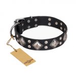 "Smart Geometry" FDT Artisan Studded Leather Siberian Husky Collar