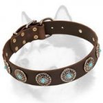 Gorgeous Leather Collar Silver Plated Circles with Blue Stones