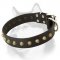 Wide Leather Dog Collar for Siberian Husky Studded with Pyramids