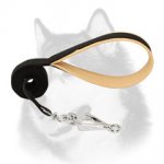 Padded Handle Dog Lead (Leash) for Siberian Husky