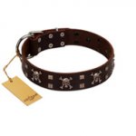 "Menacing Allure" FDT Artisan Brown Leather Siberian Husky Collar Embellished with Silvery Crossbones and Square Studs