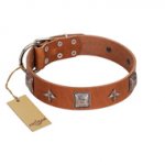 "Lucky Star" FDT Artisan Tan Leather Siberian Husky Collar with Silver-Like Embellishments