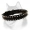Nylon Spiked Dog Collar - 2 Rows of Spikes for Siberian Husky