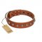 "Heroic Deeds" Designer Handmade FDT Artisan Tan Leather Siberian Husky Collar