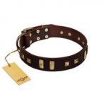 "Choco Delight" FDT Artisan Brown Leather Siberian Husky Collar with Old Bronze-like Plates and Studs