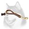 Leather Snap Tab 10 inch LEASH for Siberian Husky