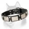 Designer Dog Collar Adorned with Nickel Plates and Cones for Siberian Husky, Akita, Malamute and Samoyed