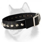 Fashion Nylon Dog Collar for Siberian Husky