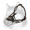Lightweight Wire Basket Dog Muzzle for Siberian Husky