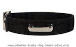 2 Ply Nylon Dog Collar with Name Tag for Siberian Husky