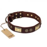 "Golden Stones" FDT Artisan Brown Leather Siberian Husky Collar with Old Bronze Look Plates and Circles