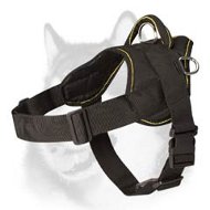 Siberian Husky Nylon Harness for Training/Walking
