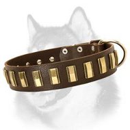 Gorgeous Wide Plated Leather Collar for Siberian Husky