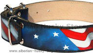 Amazing Patriotic American Flag Dog Collar for Siberian Husky