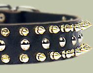 Leather Spiked and Studded Dog Collar for Siberian Husky