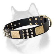 Designer Leather Dog Collar with Plates and Spikes for Siberian Husky