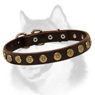 Superb Leather Siberian Husky Collar With Doted Circles