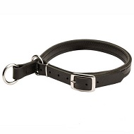 Adjustable Leather Slip Collar for Siberian Husky