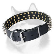 Spiked Leather Dog Collar for Siberian Husky Breed