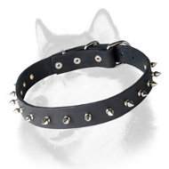 Fashion Spiked Leather Dog Collar for Siberian Husky