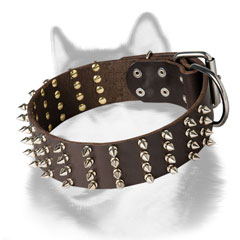 Gorgeous 2 inch Wide Spiked Leather Dog Collar for Siberian Husky