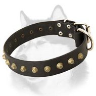 Wide Leather Dog Collar for Siberian Husky Studded with Pyramids