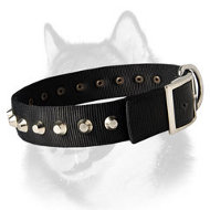 Fashion Nylon Dog Collar for Siberian Husky