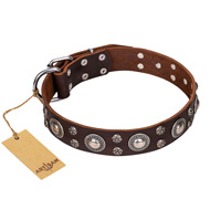 'Age of Beauty' FDT Artisan Incredible Studded Brown Leather Siberian Husky Collar