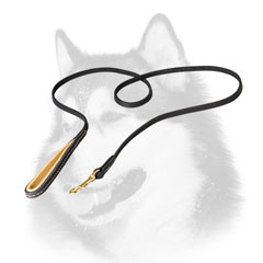 Awesome Leather Dog Leash for Siberian Husky with Padded Handle