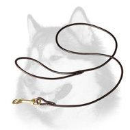 Dog Show Leather Leash for Siberian Husky