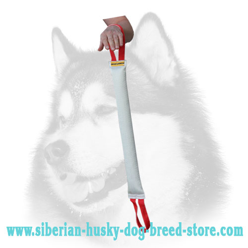 Training Fire Hose Siberian Husky Bite Tug