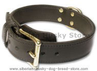 Heavy 2-Ply Leather Dog Collar for Siberian Husky