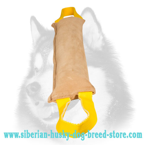 Huge Leather Siberian Husky Bite Tug