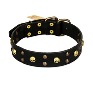 FDT Artisan 'Heavy Metal' Leather Siberian Husky Collar with Skulls and Half-Balls 1 1/2 inch (40 mm)