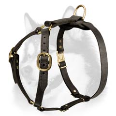 Luxury Handcrafted Super Harness Made for Siberian Husky