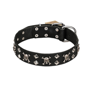 FDT Artisan 'Rock 'n' Roll Style' Fancy Leather Siberian Husky Collar with Skulls, Bones and Studs 1 1/2 inch (40 mm) wide