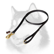 Multiple Tasks Nylon Dog Lead for Siberian Husky