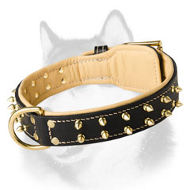 Nappa Padded Dog Collar with 2 Rows of Brass Spikes for Siberian Husky