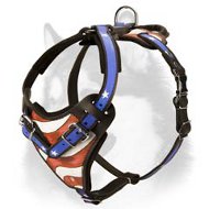 "American Flag" Handpainted Siberian Husky Harness