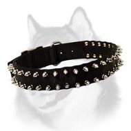 Nylon Spiked Dog Collar - 2 Rows of Spikes for Siberian Husky