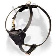 Leather Padded Harness for Siberian Husky Puppies