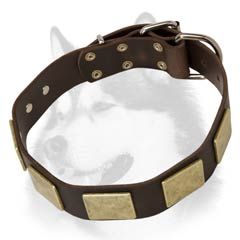 Awesome Leather Siberian Husky Collar with Massive Plates