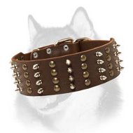 Spiked and Studded Latigo Leather Siberian Husky Collar
