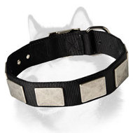 Nylon Dog Collar With Large Viantage Plates for Siberian Husky, Akita, Malamute