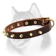 Gorgeous Leather Dog Collar with One Row Brass Plaed Spikes for Siberian Husky