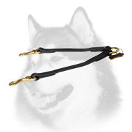 Siberian Husky Leather Dog Coupler Lead for 2 Dogs Easy Walk