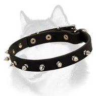 High Quality Stylish Leather Dog Collar for Siberian Husky