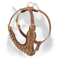 2-Ply Leather Harness for Siberian Husky with Brass Spikes