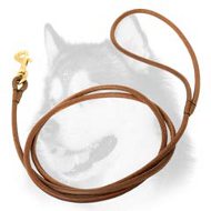 Handcrafted Leather Siberian Husky Leash for Dog Show
