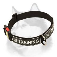 All Weather Nylon Collar with Patches